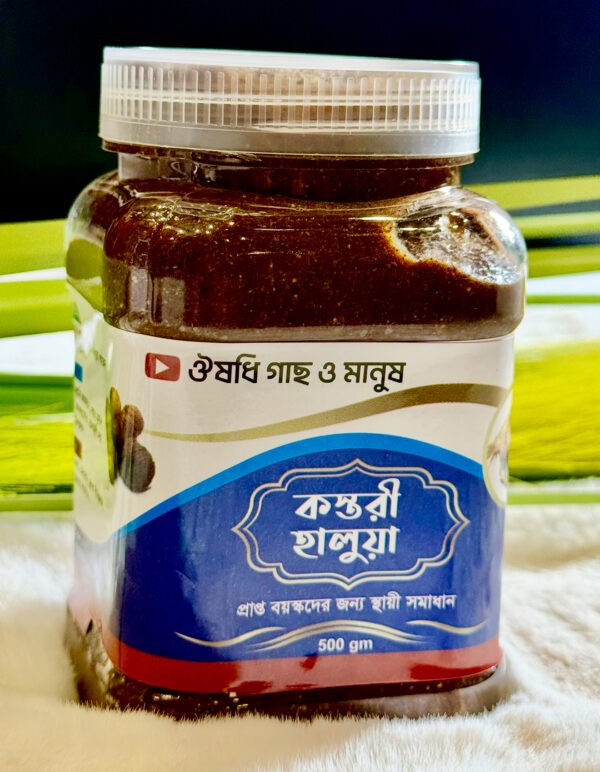 কস্তরী হালুয়া ৫০০ গ্রাম